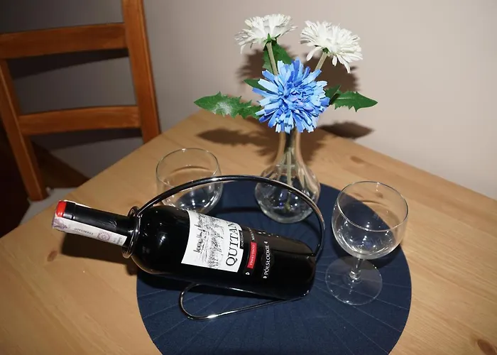 U Karoli Апартаменты